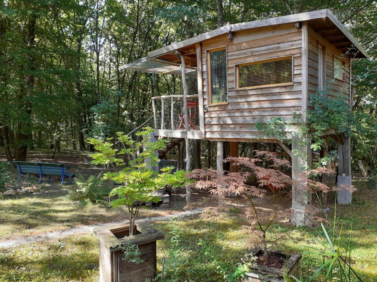 La Cabane De L'Oiseau Couze-et-Saint-Front Exteriér fotografie