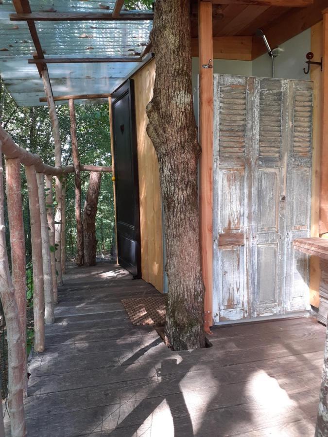 La Cabane De L'Oiseau Couze-et-Saint-Front Exteriér fotografie