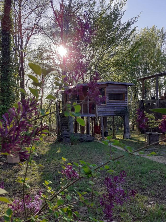 La Cabane De L'Oiseau Couze-et-Saint-Front Exteriér fotografie