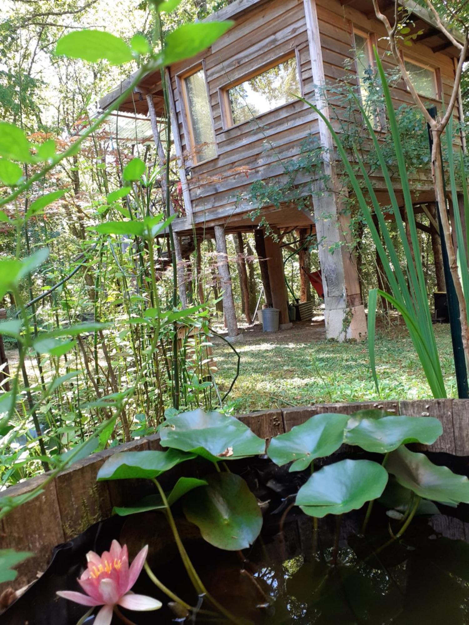 La Cabane De L'Oiseau Couze-et-Saint-Front Exteriér fotografie