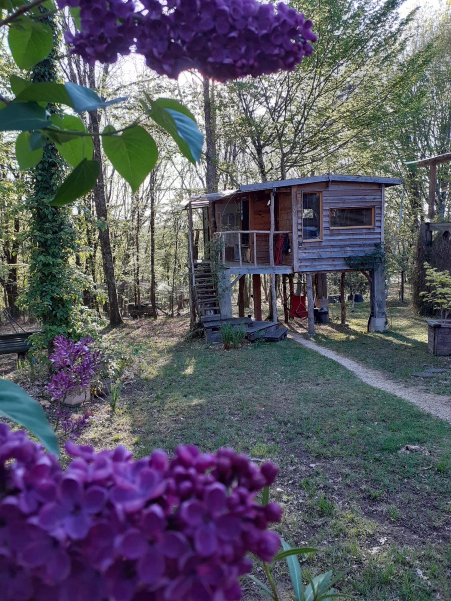 La Cabane De L'Oiseau Couze-et-Saint-Front Exteriér fotografie