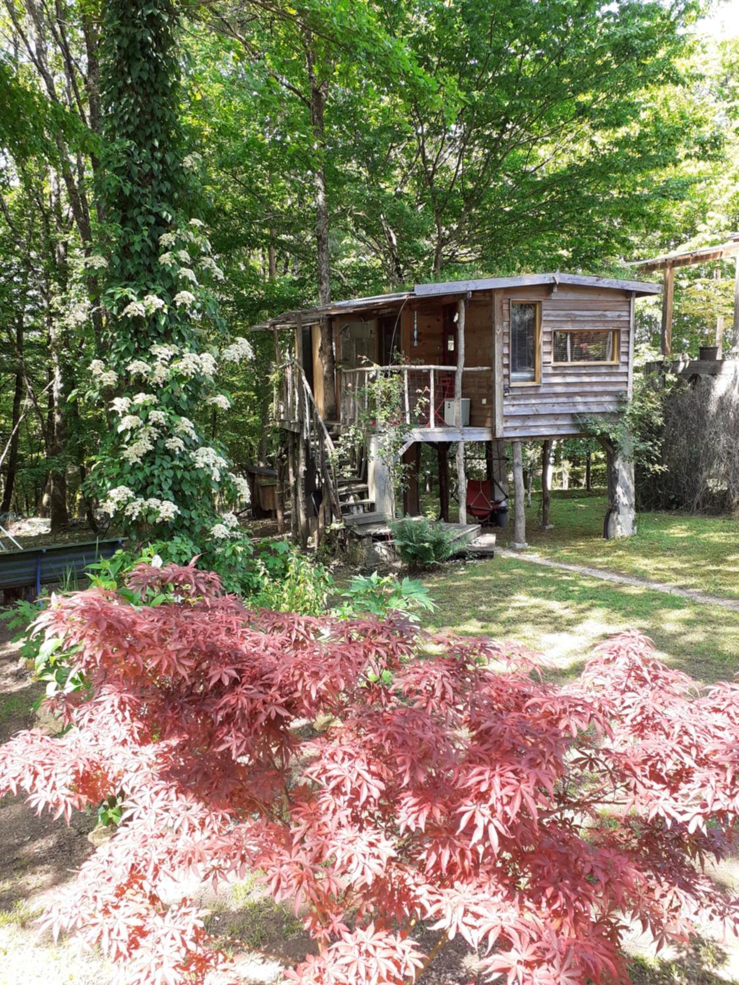 La Cabane De L'Oiseau Couze-et-Saint-Front Exteriér fotografie